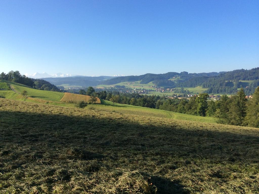 Landcafe Mit Mini Hotel Burgdorf Zewnętrze zdjęcie