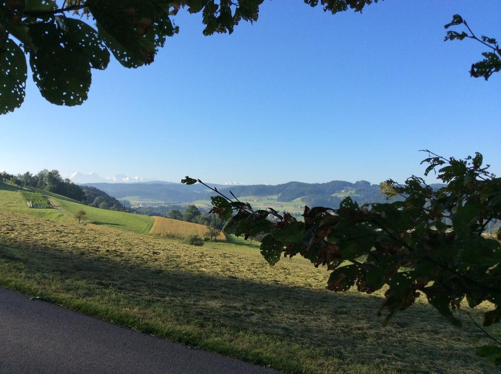 Landcafe Mit Mini Hotel Burgdorf Zewnętrze zdjęcie